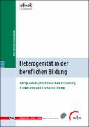 Heterogenität in der beruflichen Bildung
