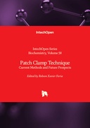 Patch Clamp Technique