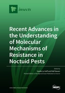 Recent Advances in the Understanding of Molecular Mechanisms of Resistance in Noctuid Pests