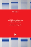 Gel Electrophoresis