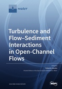 Turbulence and Flow–Sediment Interactions in Open-Channel Flows