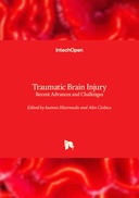 Traumatic Brain Injury