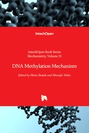 DNA Methylation Mechanism