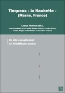 Tinqueux « la Haubette » (Marne, France)