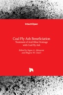 Coal Fly Ash Beneficiation
