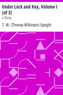 Under Lock and Key, Volume I (of 3) A Story