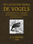book cover Book cover