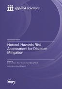 Natural-Hazards Risk Assessment for Disaster Mitigation