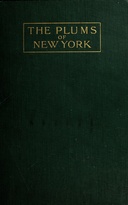 book cover Book cover