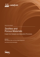 Zeolites and Porous Materials: Insight into Catalysis and Adsorption Processes