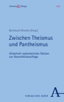 Zwischen Theismus und Pantheismus
