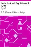 Under Lock and Key, Volume III (of 3) A Story