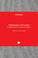 Sedimentary Processes