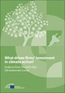 What drives firms' investment in climate change?