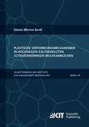 Plastische Verformungsmechanismen in hochgradig kaltgewalzten, ultrafeinkoernigen Wolframblechen