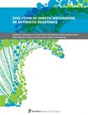 Evolution of Genetic Mechanisms of Antibiotic Resistance