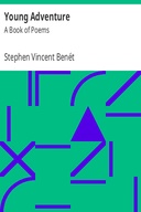 Young Adventure: A Book of Poems
