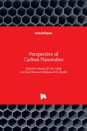 Perspective of Carbon Nanotubes