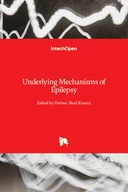 Underlying Mechanisms of Epilepsy