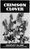 USDA Leaflet No. 160: Crimson Clover (1947)