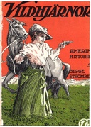 Vildhjärnor Amerikahistorier