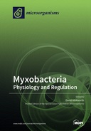 Myxobacteria