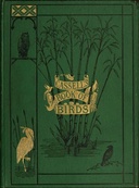 book cover Book cover