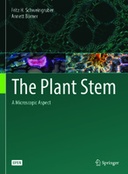The Plant Stem: A Microscopic Aspect