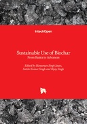  Sustainable Use of Biochar