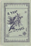 A year among the trees : $b or, the woods and by-ways of New England