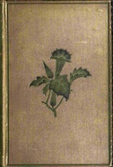 Torwood's trust (Vol. 1 of 3) :  A novel