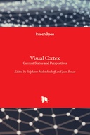 Visual Cortex