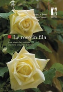 Le rose in fila