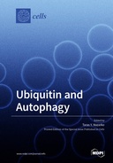 Ubiquitin and Autophagy