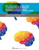 Why Have Cortical Layers? What Is the Function of Layering? Do Neurons in Cortex Integrate Information Across Different Layers?