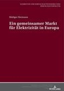 Ein gemeinsamer Markt für Elektrizität in Europa