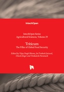 Triticum