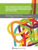From “Junk DNA” to Clinically Relevant Tools for Cancer Diagnosis, Staging, and Tailored Therapies: The Incredible Case of Non-Coding RNAs