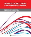 Multicellularity in the Cardiovascular System