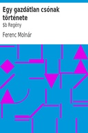Egy gazdátlan csónak története : $b Regény