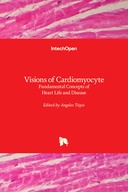 Visions of Cardiomyocyte