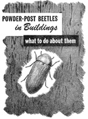 USDA Leaflet 358: Powder-Post Beetles in Buildings What to Do About Them