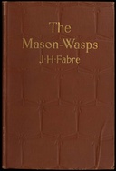 book cover Book cover