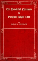 The wonderful Christmas in Pumpkin Delight Lane