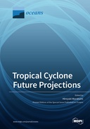 Tropical Cyclone Future Projections