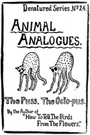 Animal Analogues: Verses and Illustrations