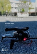 Self-Supervised Learning for Visual Obstacle Avoidance
