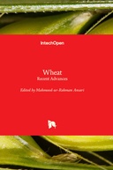 Wheat