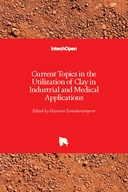 Current Topics in the Utilization of Clay in Industrial and Medical Applications