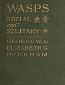 Wasps Social and Solitary